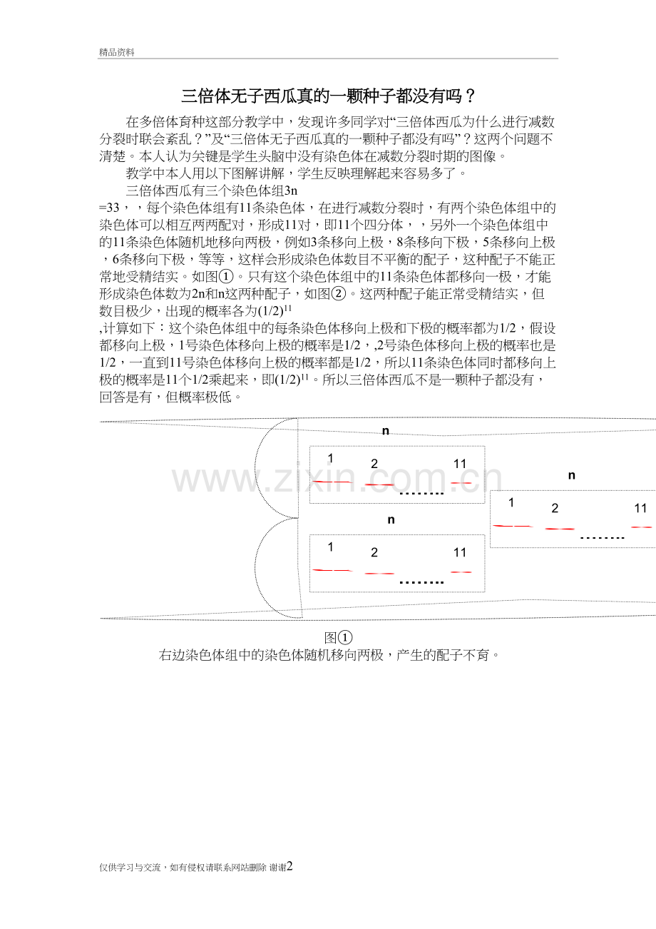 三倍体无子西瓜真的一颗种子都没有吗讲解学习.doc_第2页