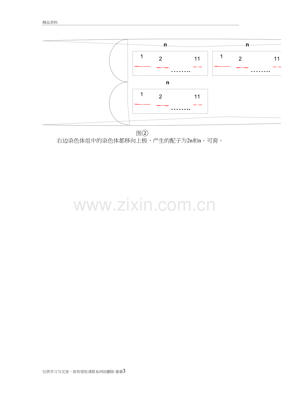 三倍体无子西瓜真的一颗种子都没有吗讲解学习.doc_第3页