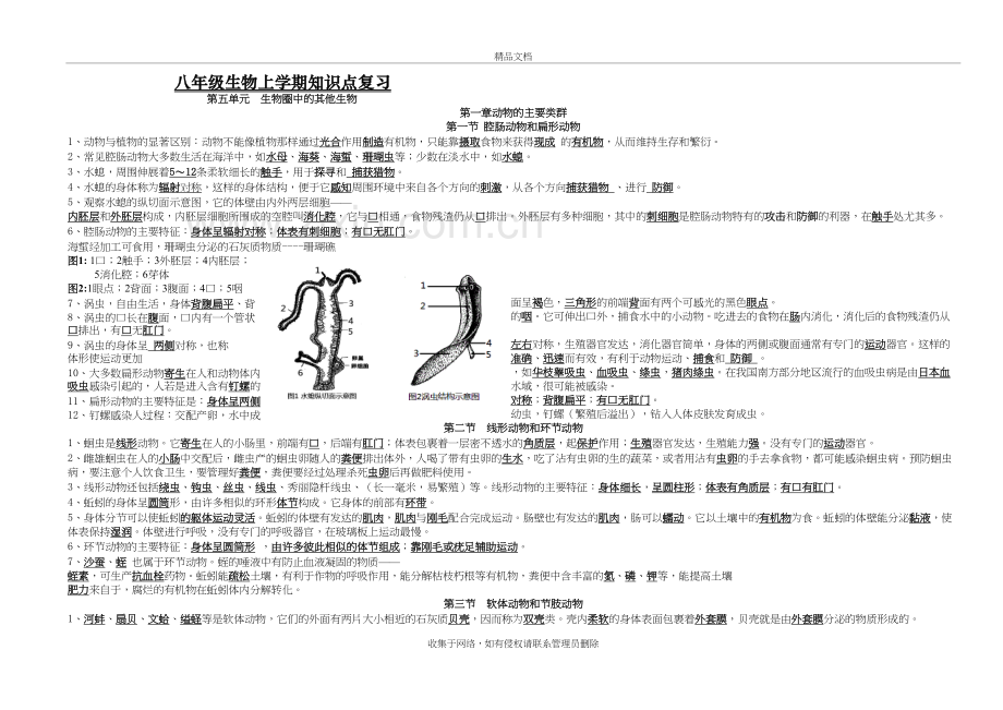 人教版生物八年级生物上册期末知识点归纳资料.doc_第2页