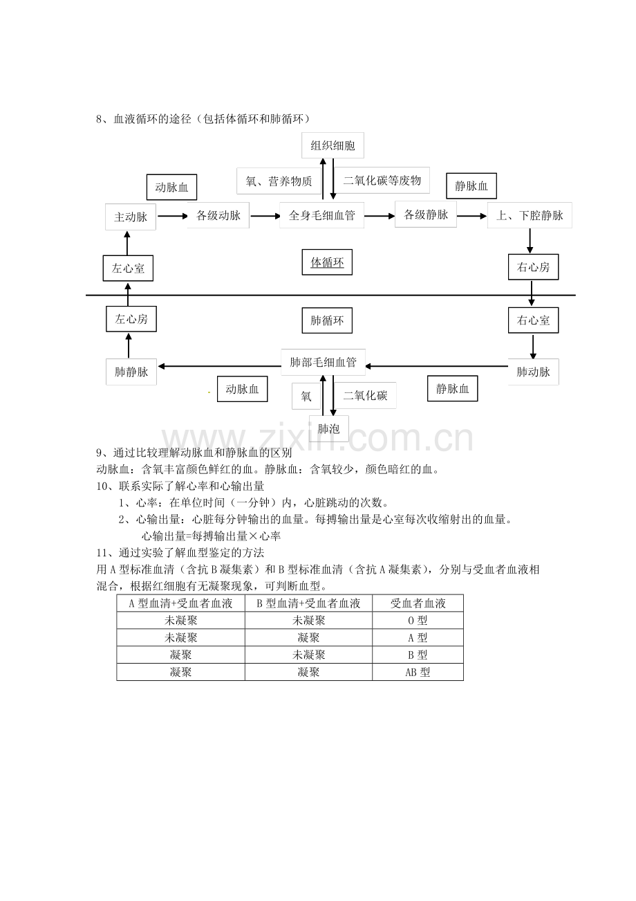 七年级生物下册知识点总结(1-7章)冀教版教学文案.doc_第3页