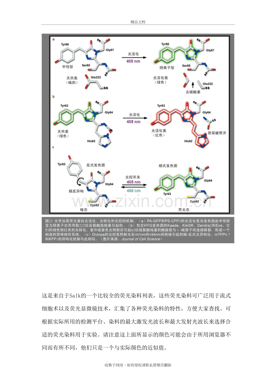 常用荧光染料探针列表教学内容.doc_第3页