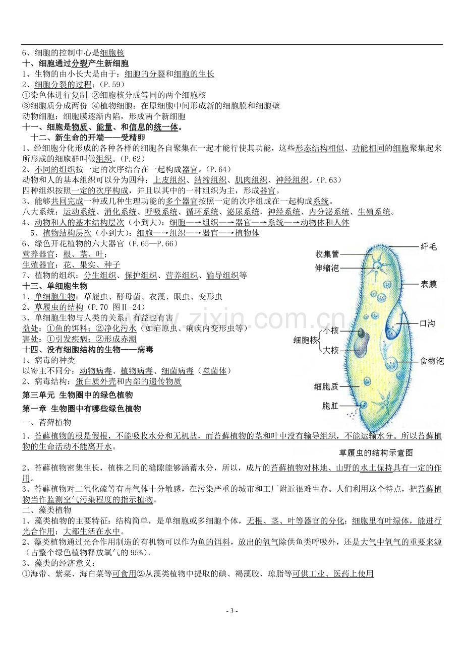 七年级上册生物复习资料大全(人教版)教学文稿.doc_第3页