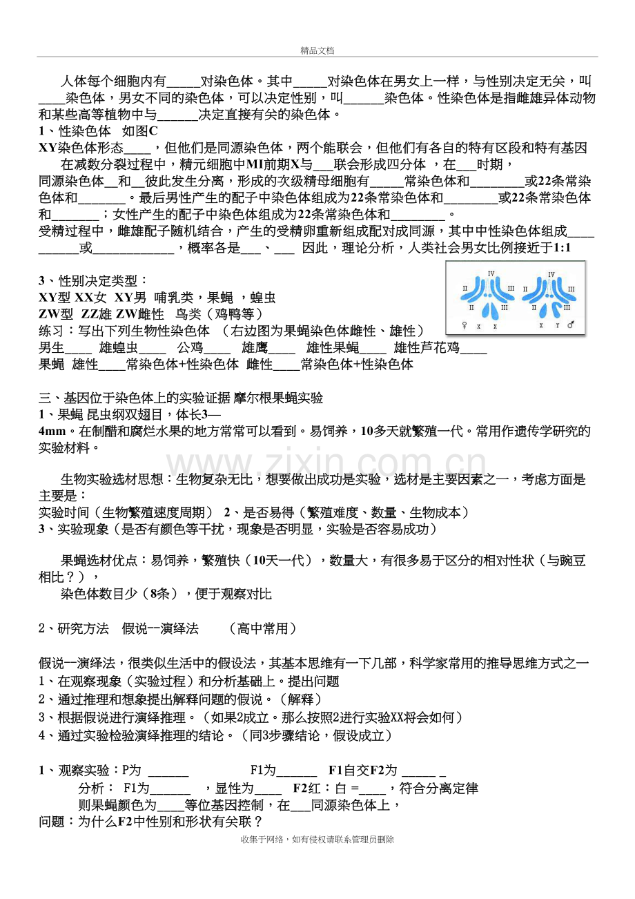 基因在染色体上演示教学.docx_第3页