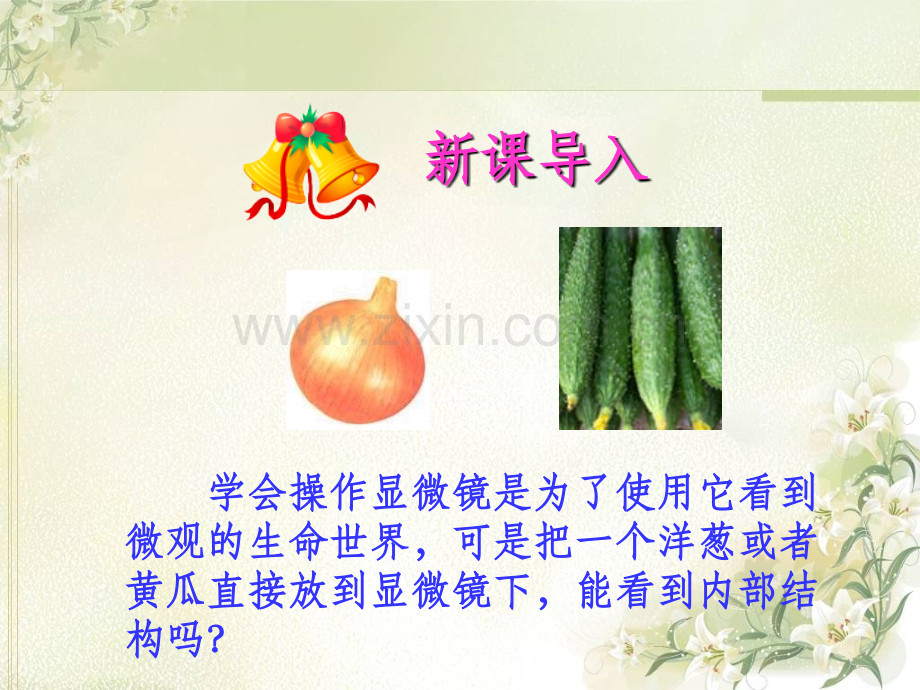 《观察植物细胞》课件讲解学习.ppt_第1页