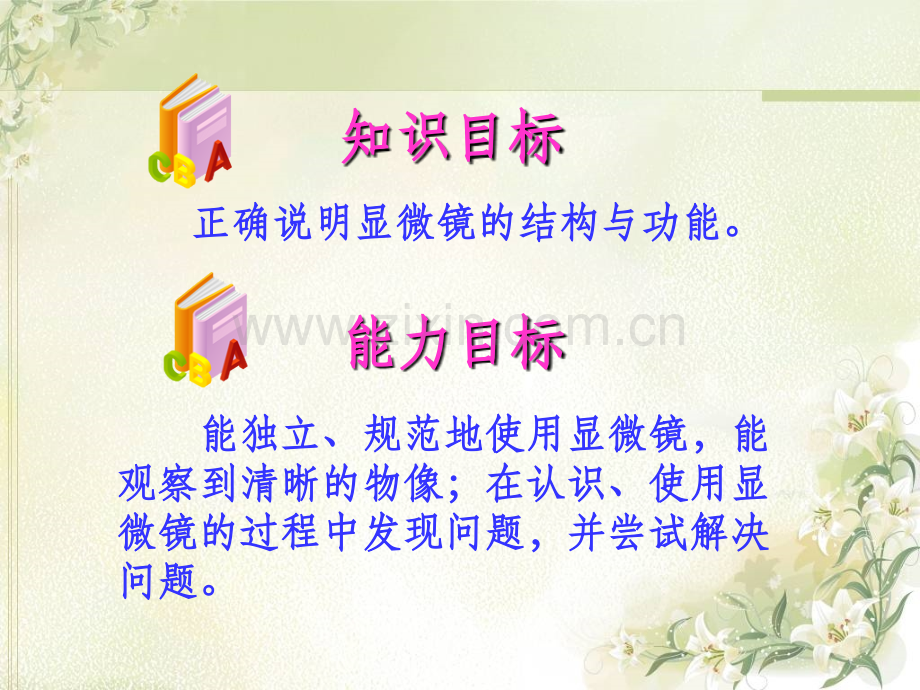 《观察植物细胞》课件讲解学习.ppt_第3页