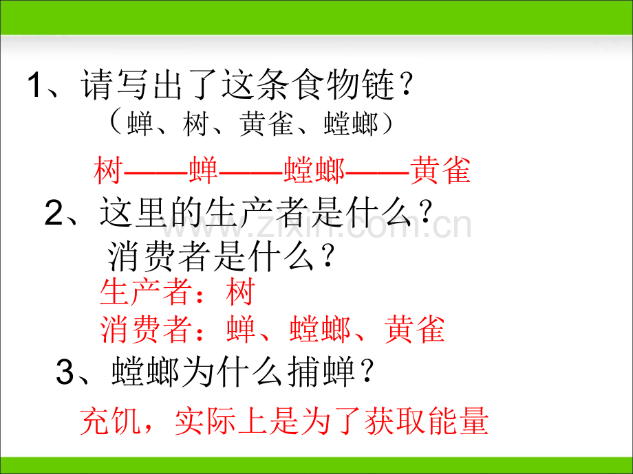 生态系统中的能量流动和物质循环讲解学习.ppt_第3页