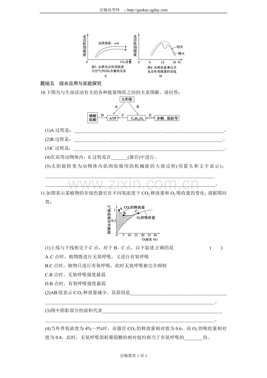 高中生物必修一练习题：光合作用和细胞呼吸复习过程.doc_第3页