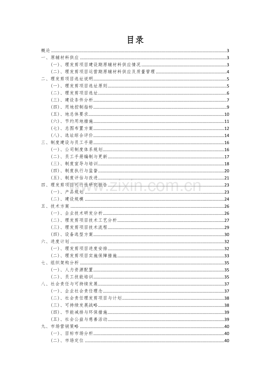 2024年理发剪项目投资分析及可行性报告.docx_第2页