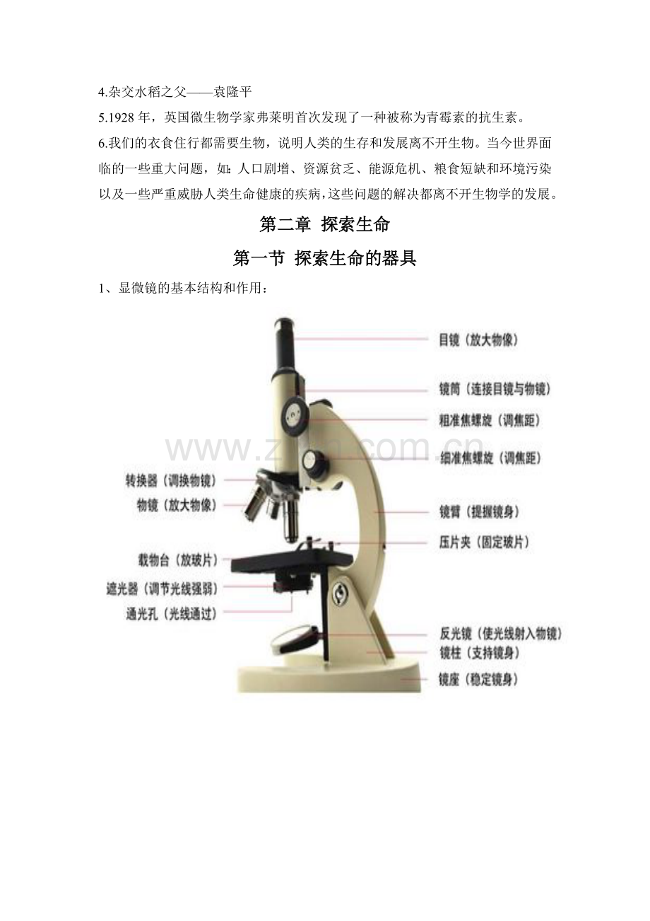 七年级上册生物知识点doc资料.doc_第2页