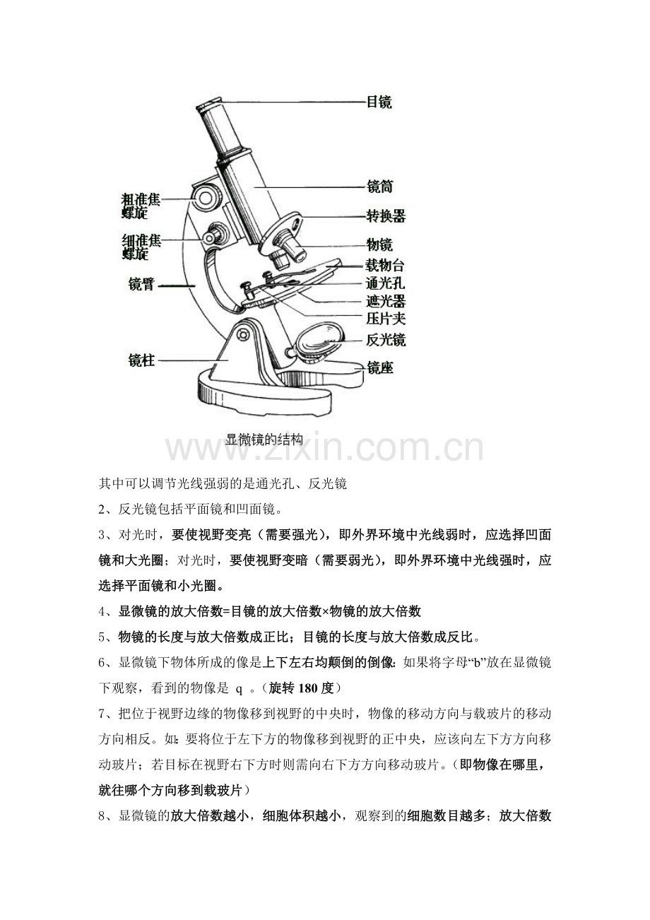 七年级上册生物知识点doc资料.doc_第3页