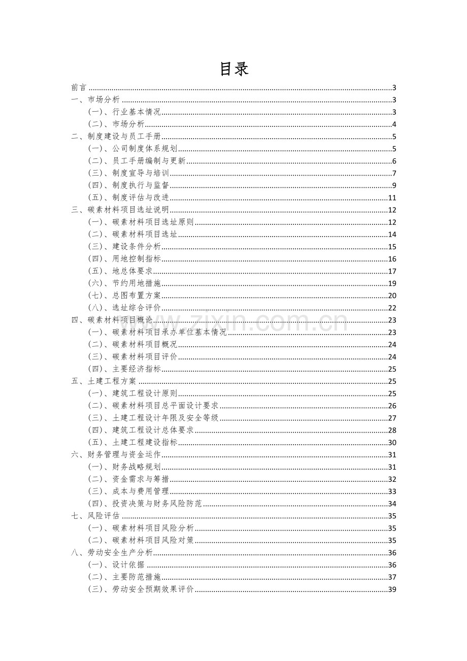 2024年碳素材料项目可行性分析报告.docx_第2页