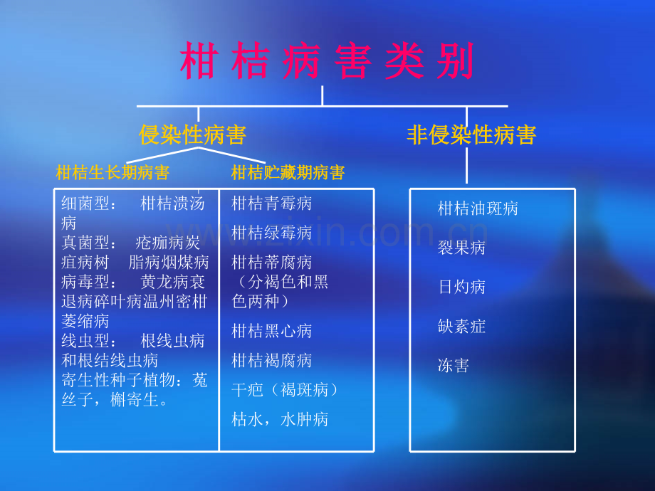 柑橘常见病虫害备课讲稿.ppt_第2页