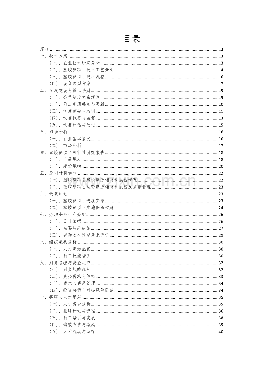 2024年塑胶箩项目可行性研究报告.docx_第2页