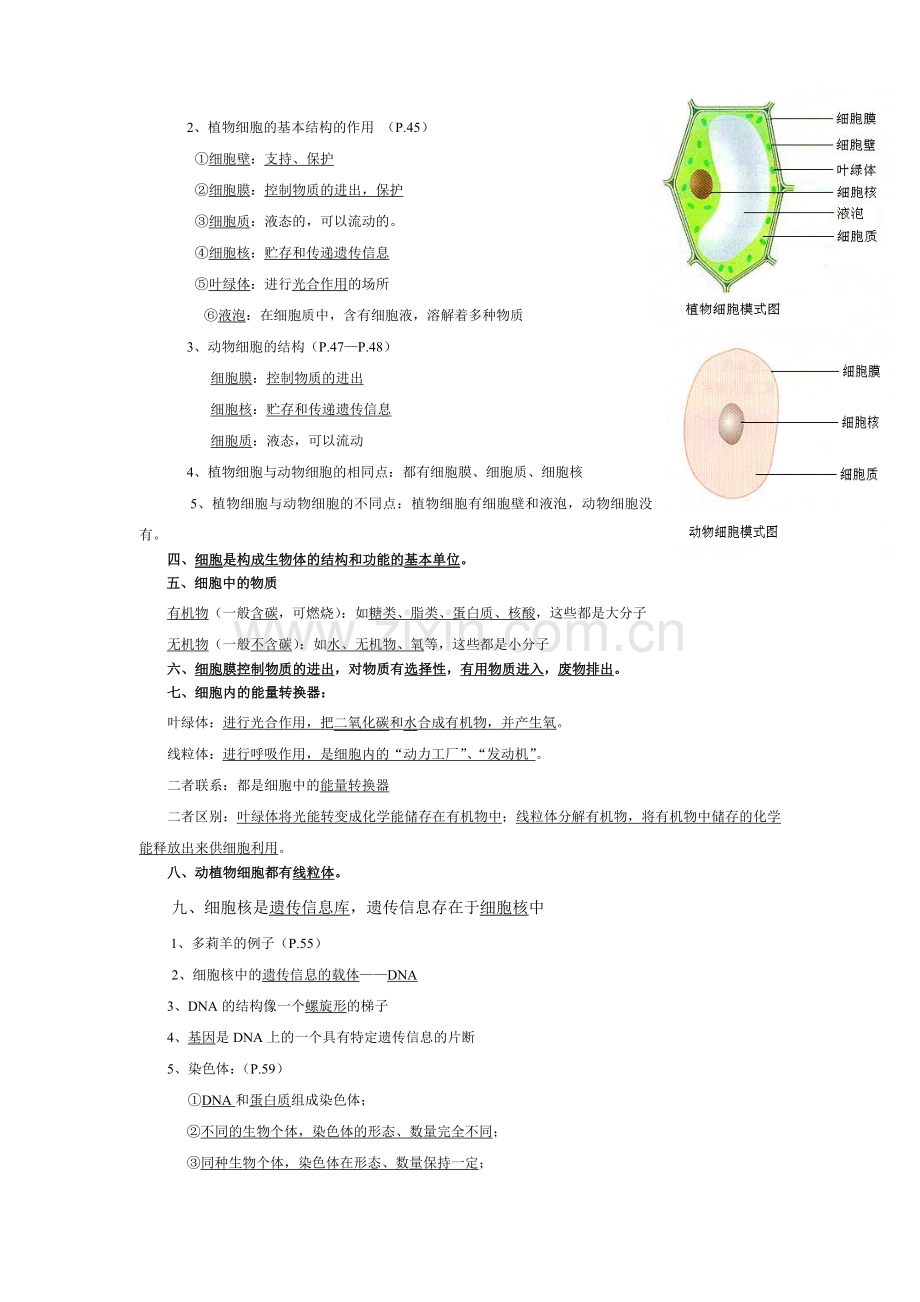 七年级上册生物第二单元重要知识点资料.doc_第2页