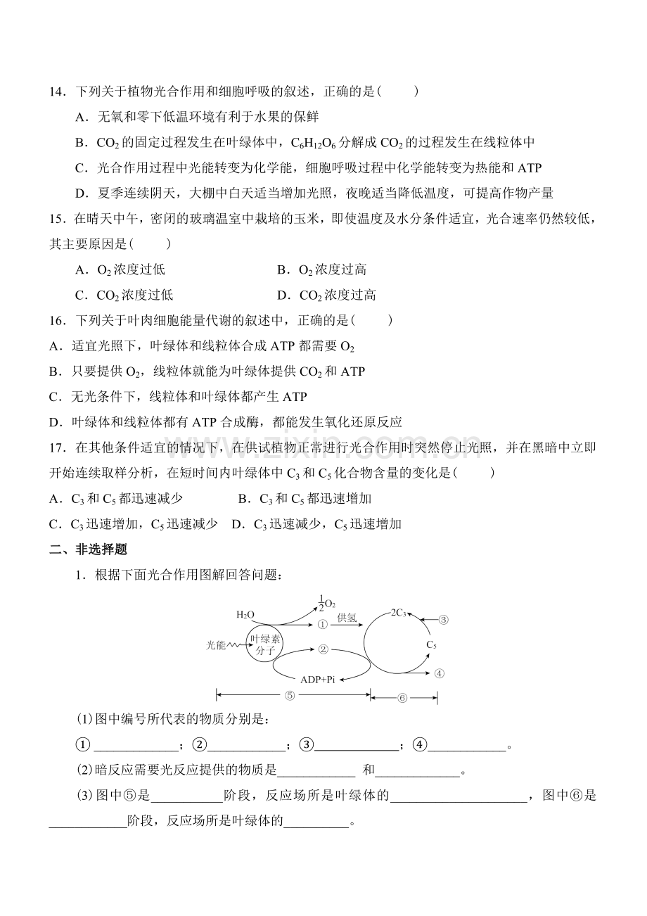 高中生物必修一第五章练习及答案复习课程.doc_第3页