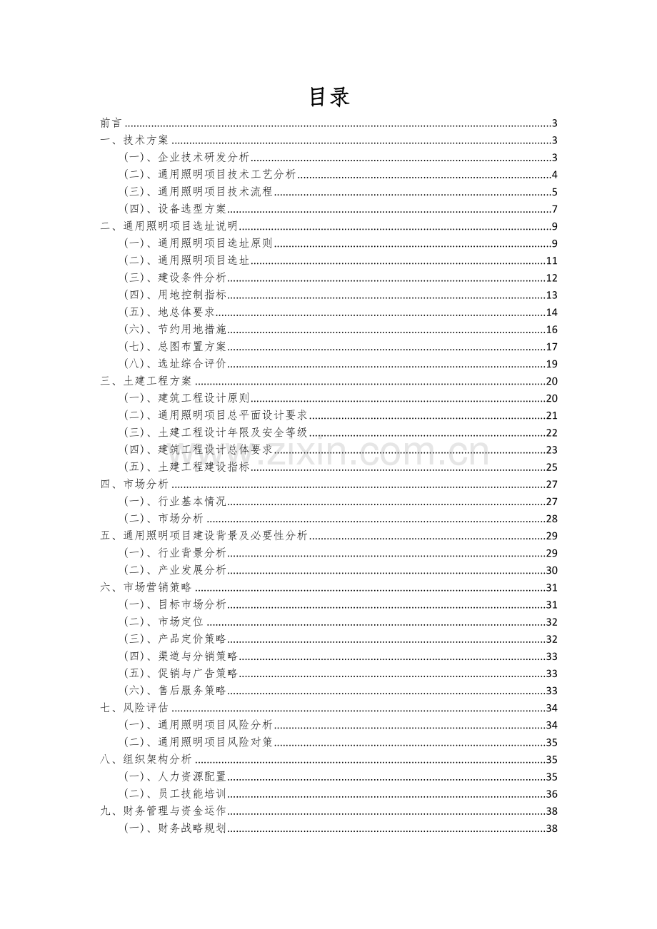 2024年通用照明项目可行性分析报告.docx_第2页