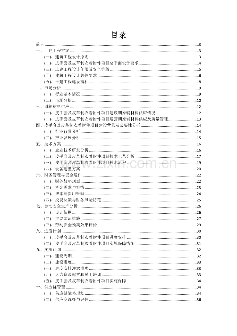 2024年皮手套及皮革制衣着附件项目深度研究分析报告.docx_第2页