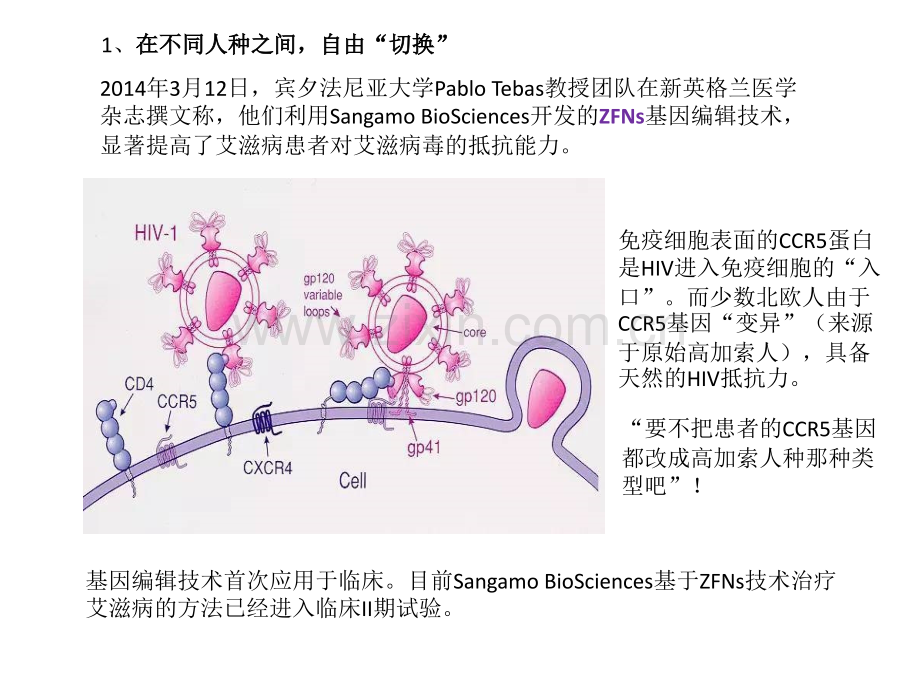 基因编辑技术知识分享.pptx_第3页