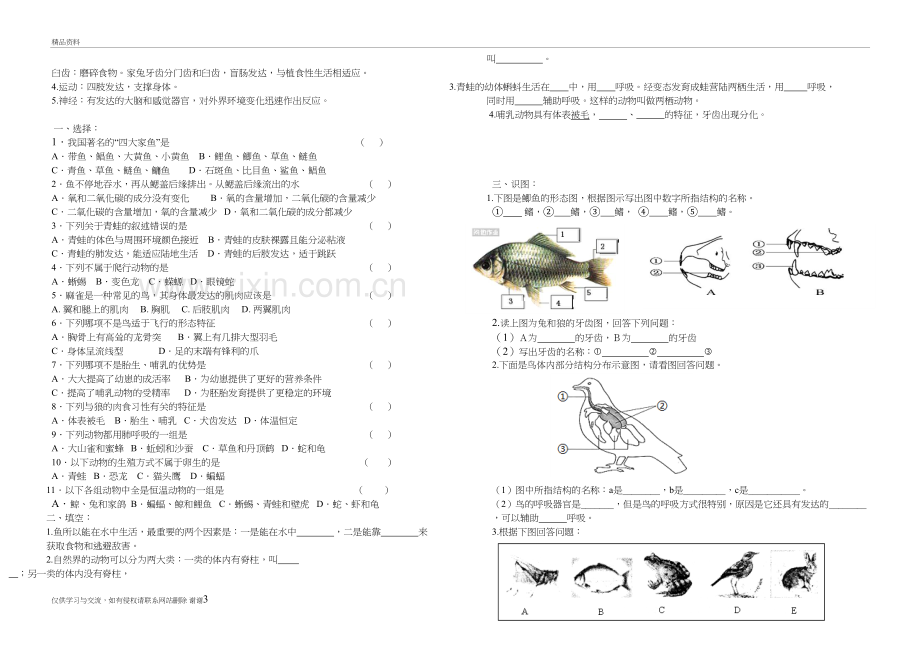 动物的主要类群2-生物会考复习说课材料.doc_第3页