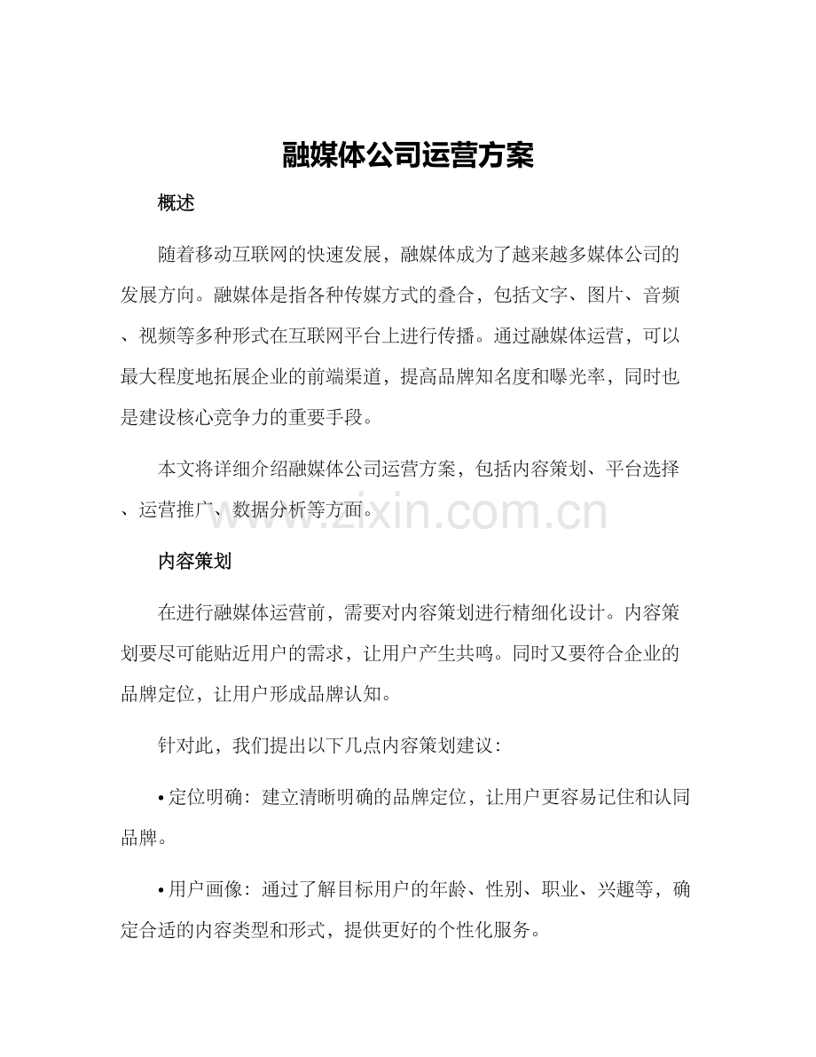 融媒体公司运营方案.docx_第1页