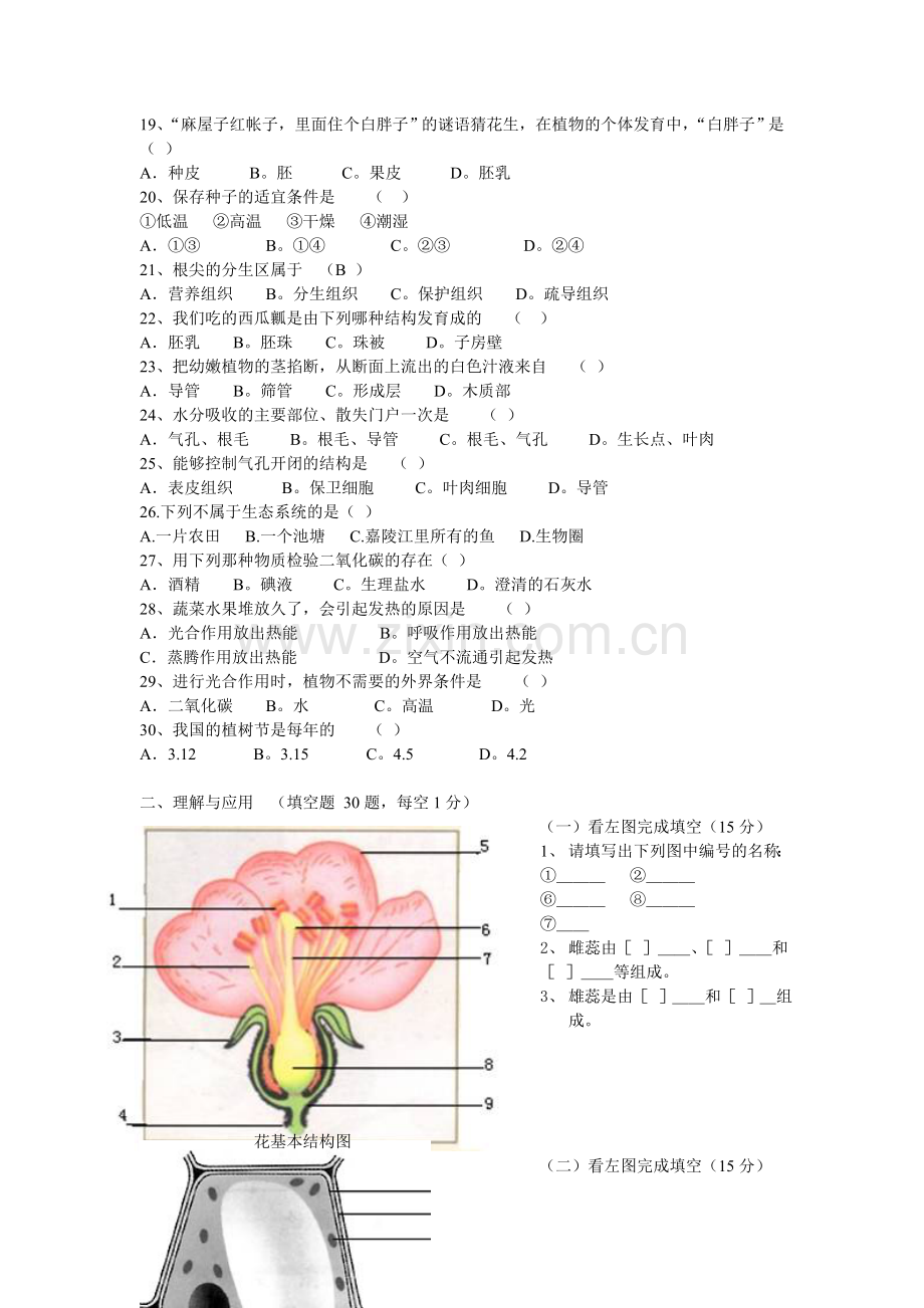 七年级上册生物综合测试卷教学提纲.doc_第2页