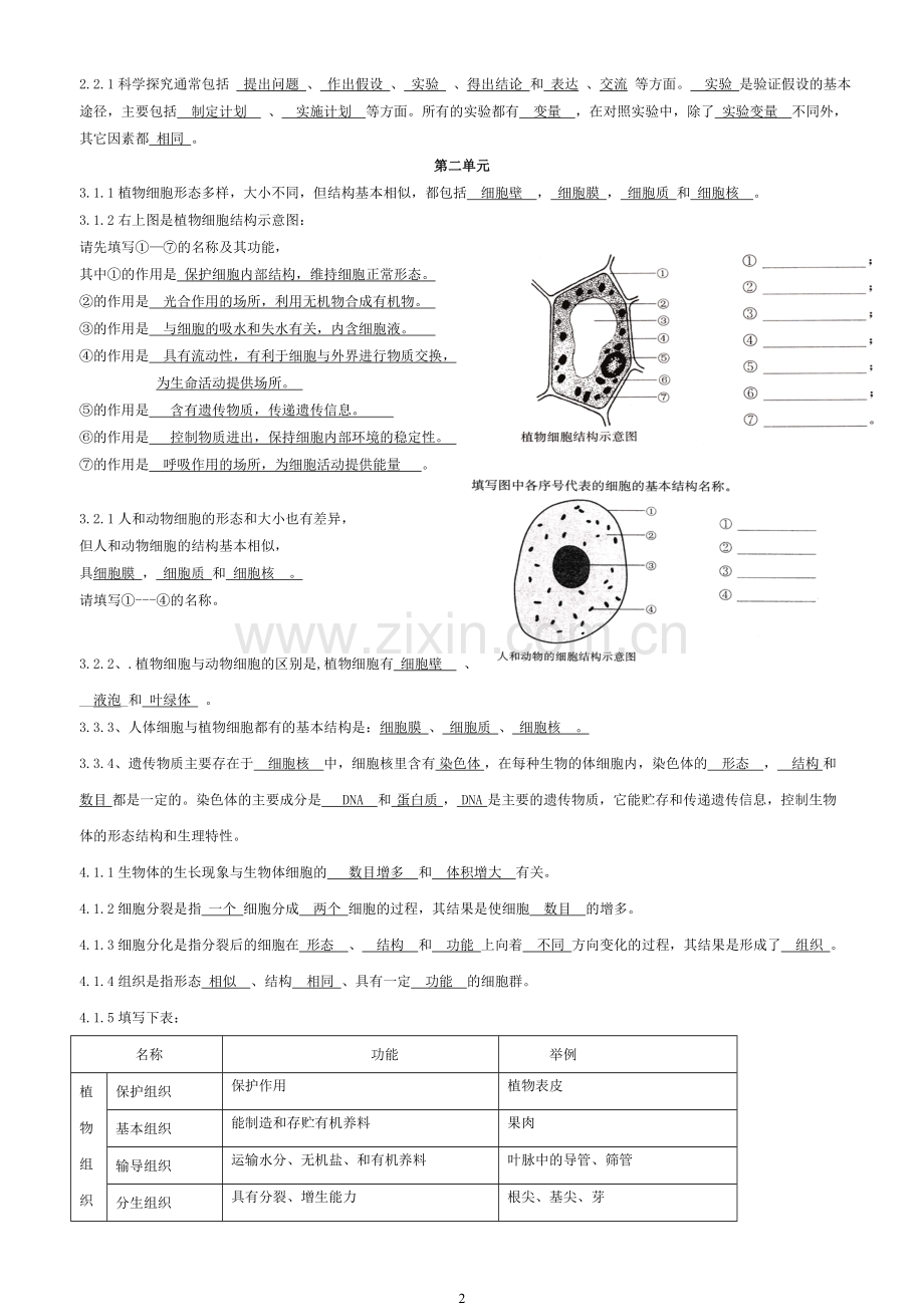 七年级生物(苏教版)知识点总结答案(全)教学内容.doc_第2页