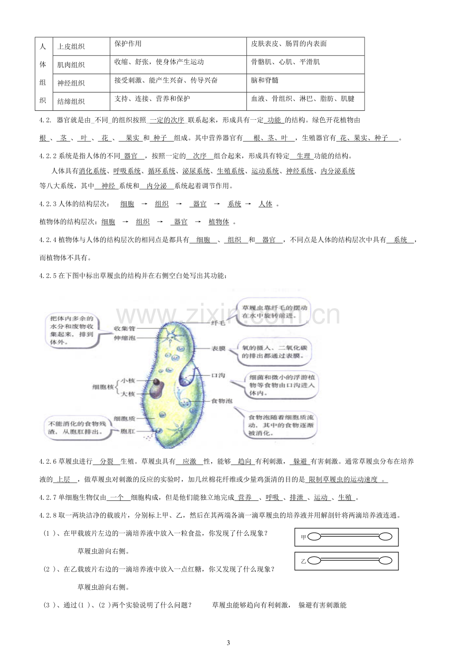 七年级生物(苏教版)知识点总结答案(全)教学内容.doc_第3页