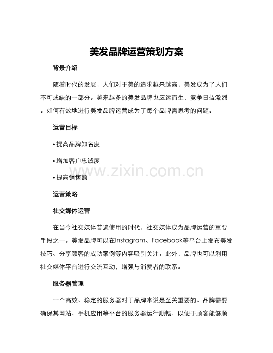 美发品牌运营策划方案.docx_第1页