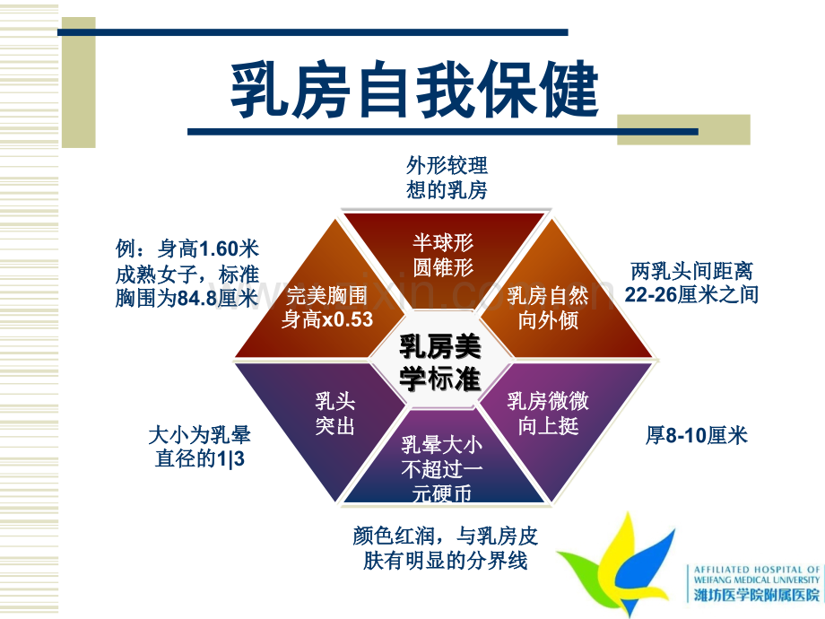 乳腺疾病科普知识教学文案.ppt_第3页