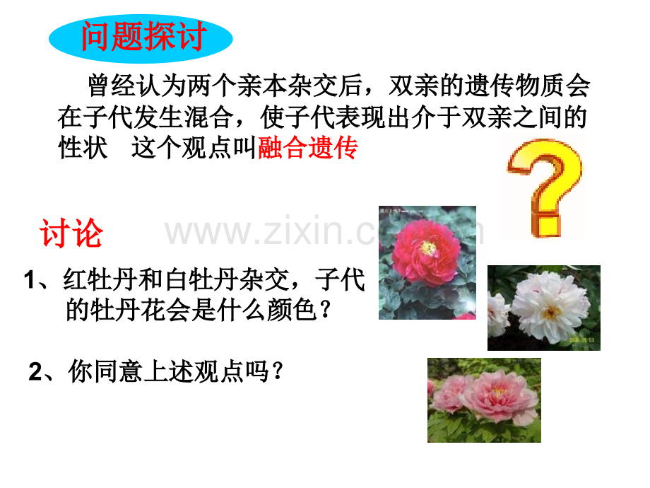 孟德尔的豌豆杂交实验一(好).ppt资料讲解.ppt_第2页