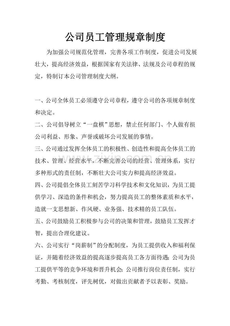 公司员工管理规章制度(1)讲课教案.doc_第1页