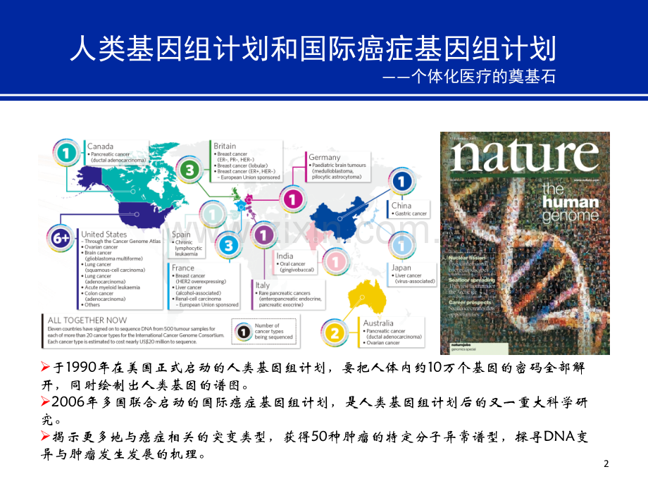 肿瘤个体化用药基因检测的临床应用--05-21教学文案.ppt_第2页