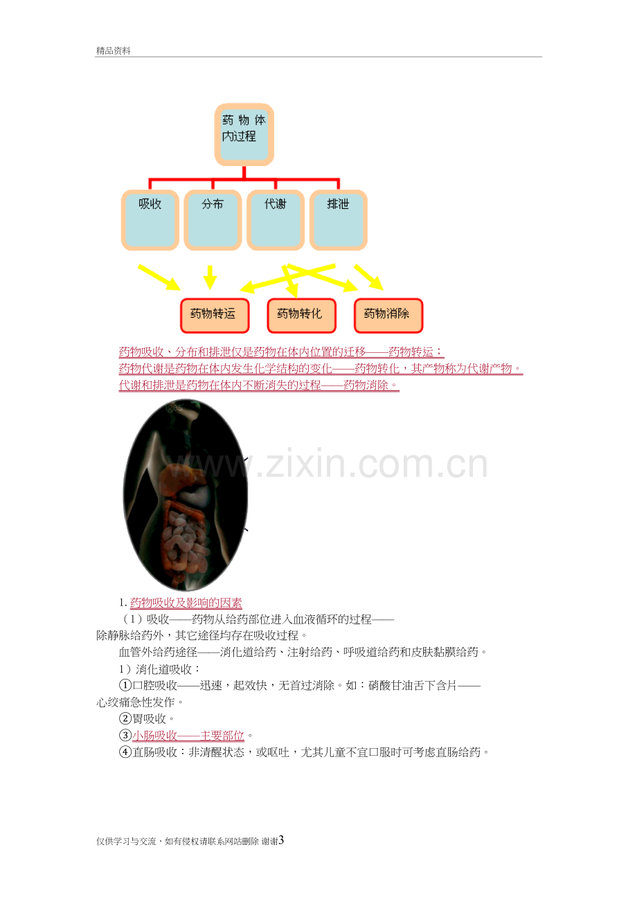 执业药师药物代谢动力学复习进程.doc_第3页