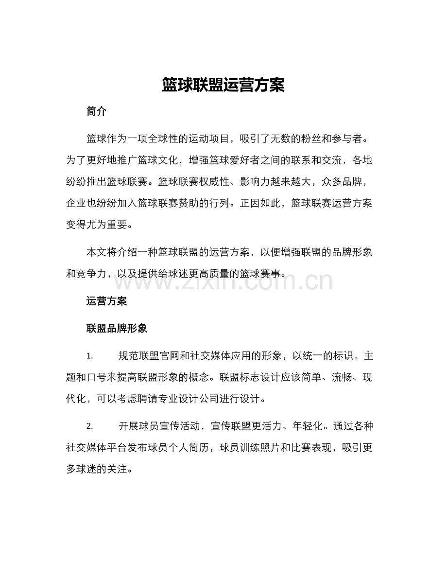 篮球联盟运营方案.docx_第1页