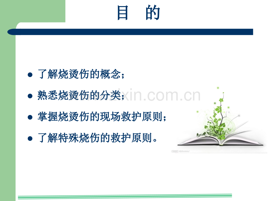 烧烫伤的院前急救课件讲课讲稿.ppt_第2页