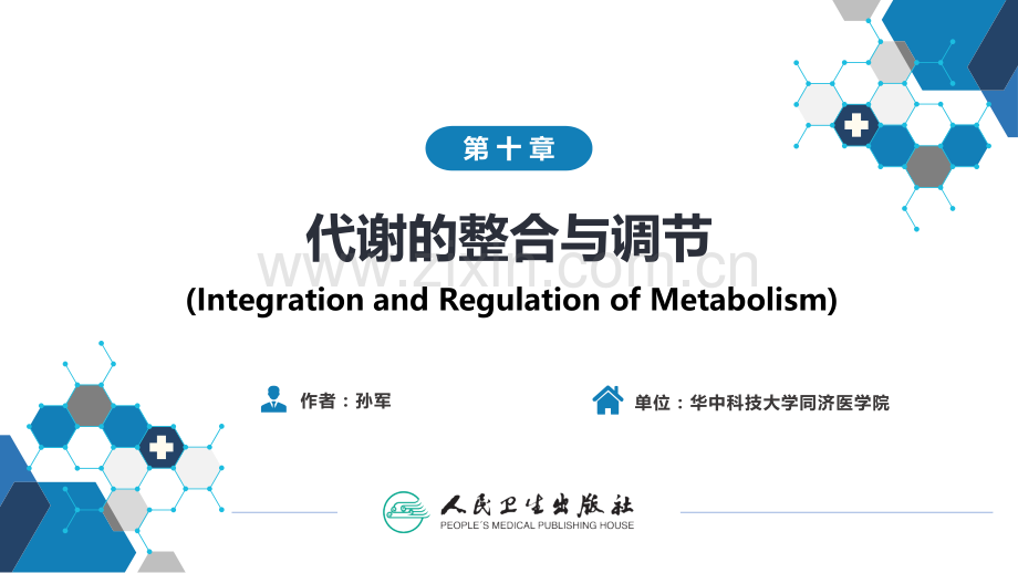 生物化学及分子生物学(人卫第九版)-10代谢的整合与调节学习资料.pptx_第1页