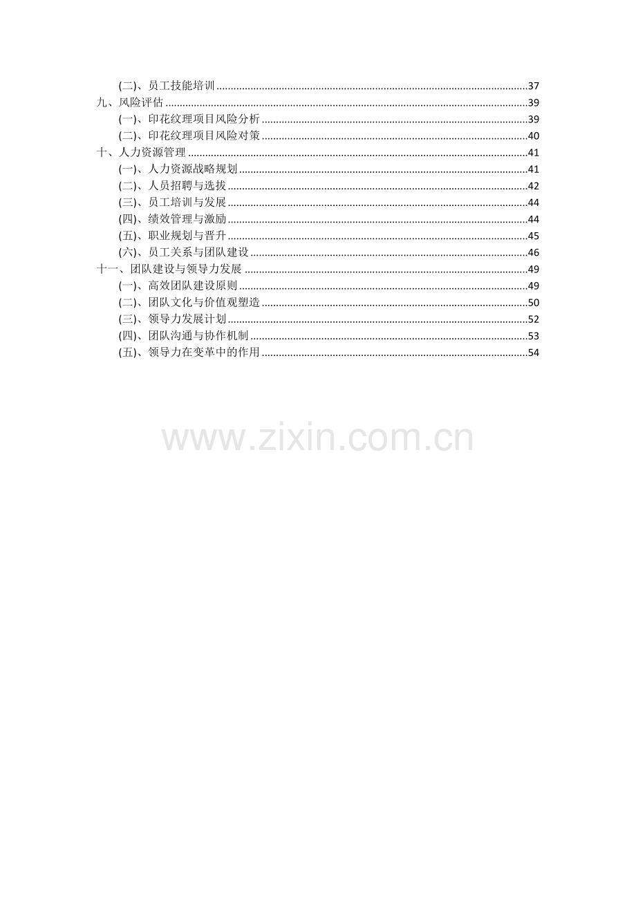 2024年印花纹理项目可行性研究报告.docx_第3页