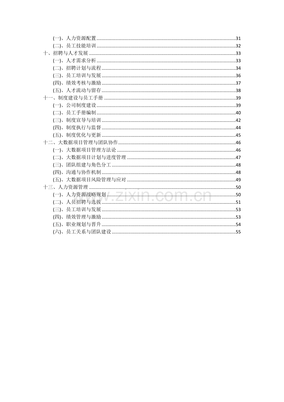 2024年大数据项目投资分析及可行性报告.docx_第3页