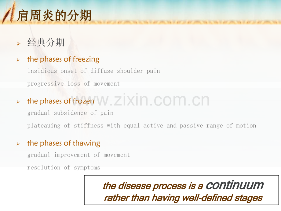 肩关节病损的康复基础和实践(第二部分)说课讲解.ppt_第3页