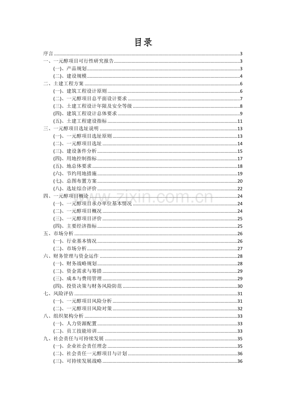 2024年一元醇项目可行性研究报告.docx_第2页