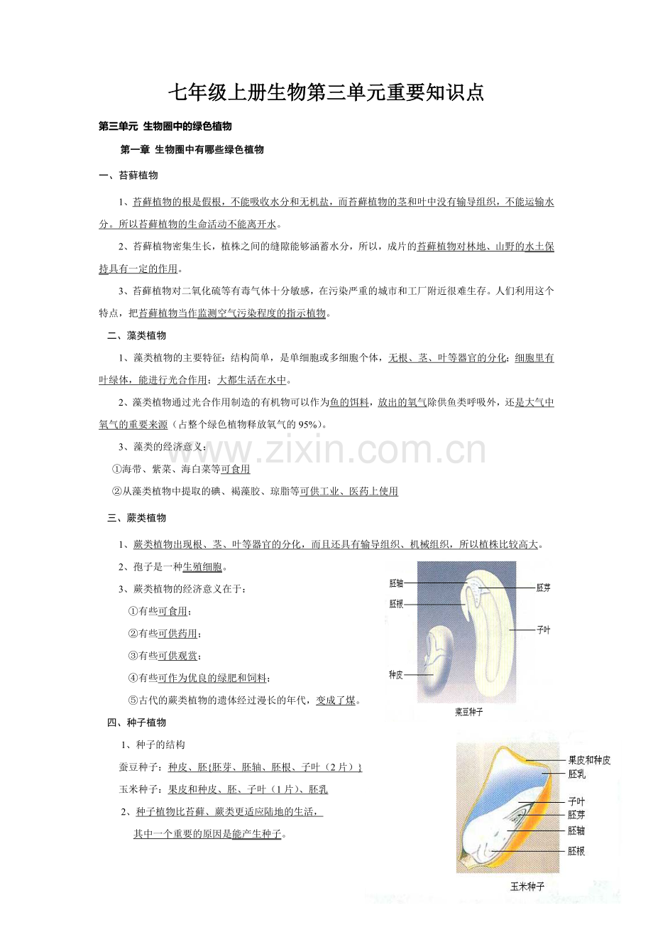 七年级上册生物第三单元重要知识点讲课讲稿.doc_第1页