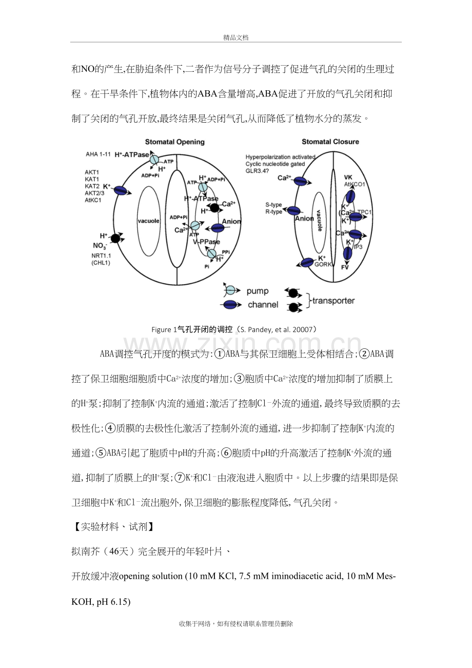 脱落酸(ABA)对气孔运动的影响实验教学提纲.docx_第3页