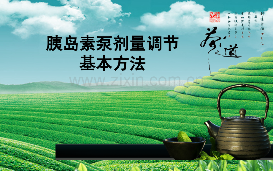 胰岛素泵剂量调节(全)讲课讲稿.ppt_第1页