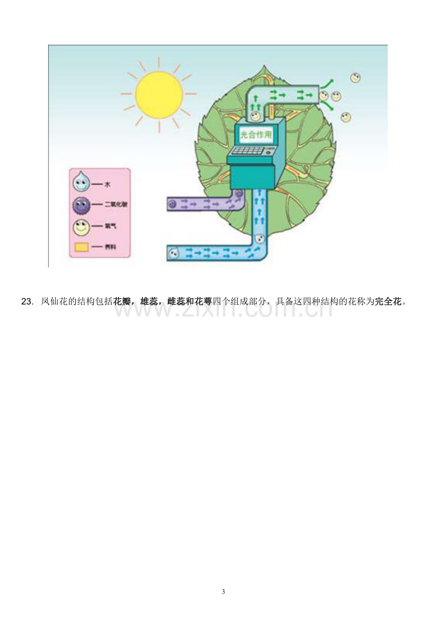 三年级下册科学每个单元知识点整理电子教案.doc_第3页