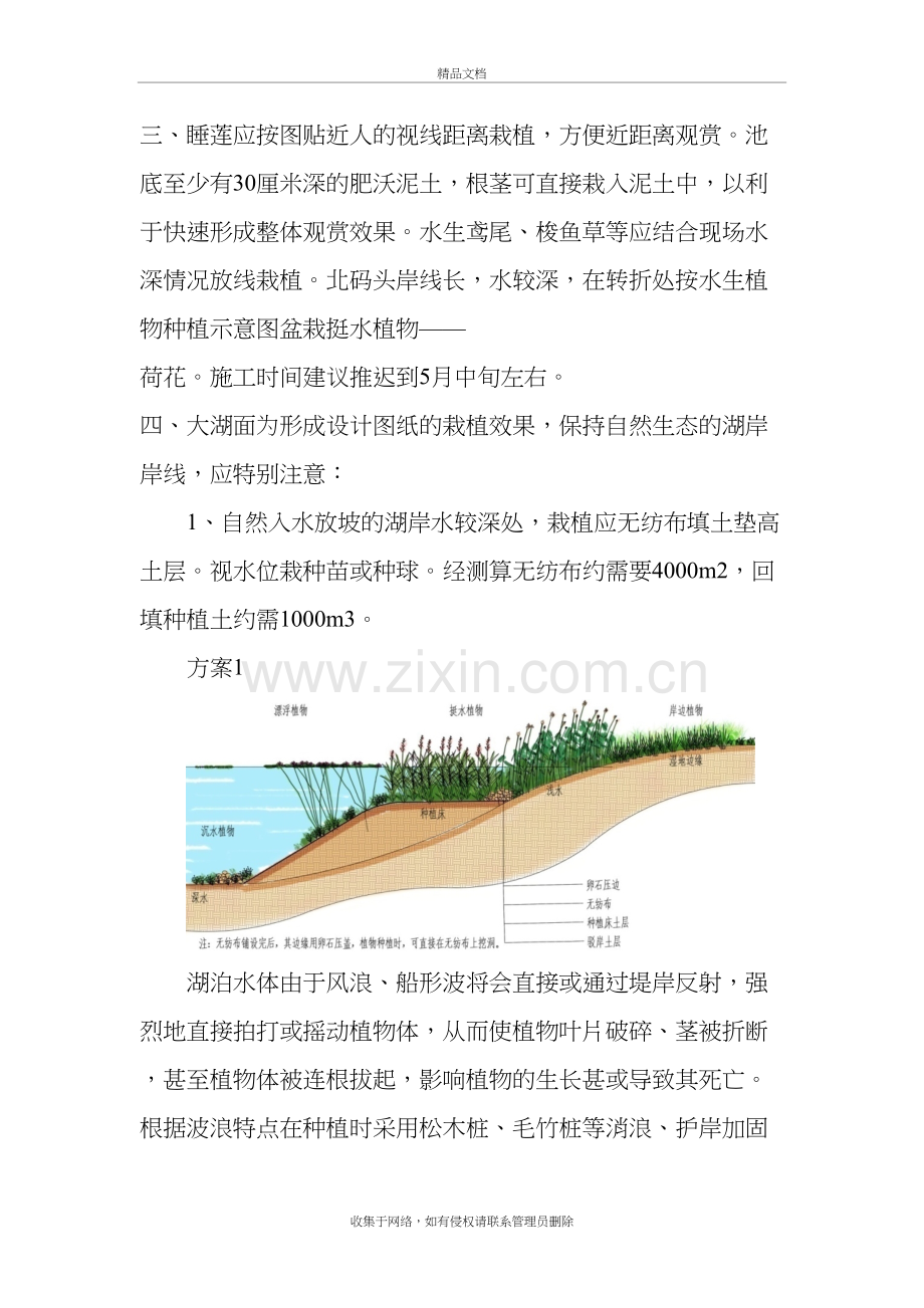 水生植物种植方案教案资料.doc_第3页