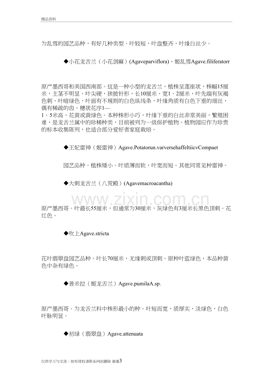 生活中常见的多肉植物品种大汇集教学教材.doc_第3页