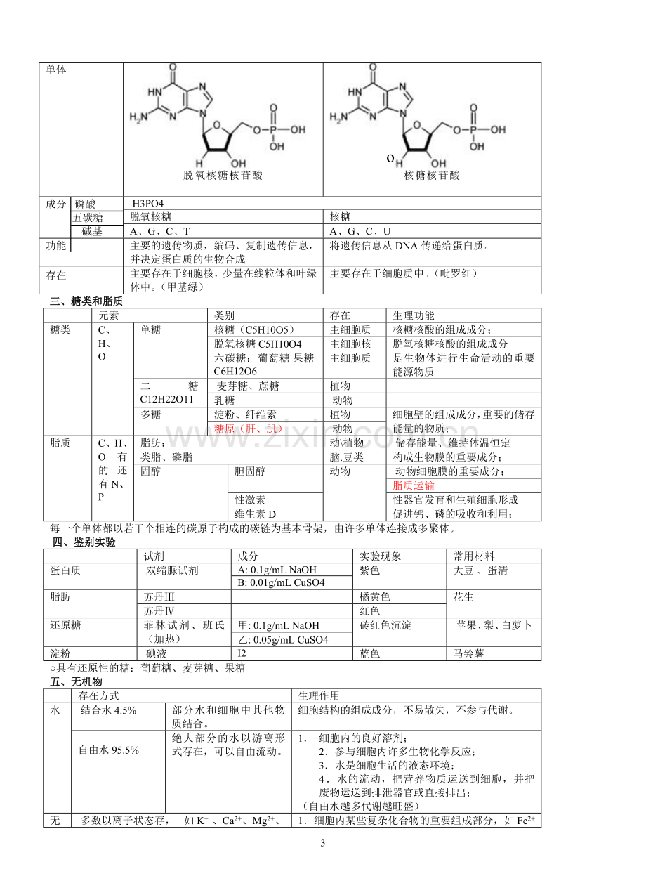 高中生物必修一、必修二、必修三知识点总结(人教版)90068复习过程.doc_第3页