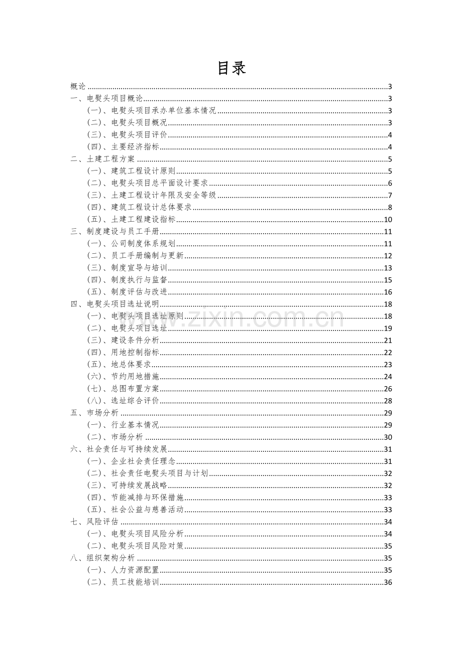 2024年电熨头项目可行性研究报告.docx_第2页