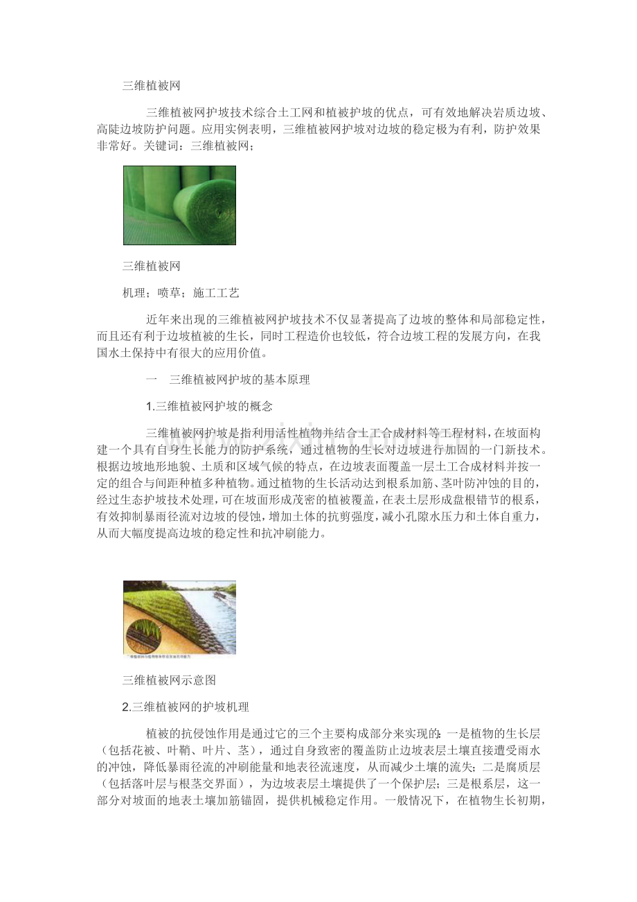 三维网喷播植草护坡教程文件.docx_第2页