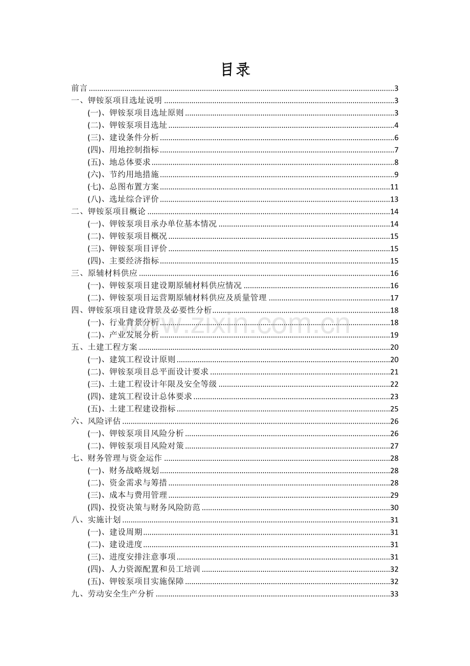 2024年钾铵泵项目可行性分析报告.docx_第2页